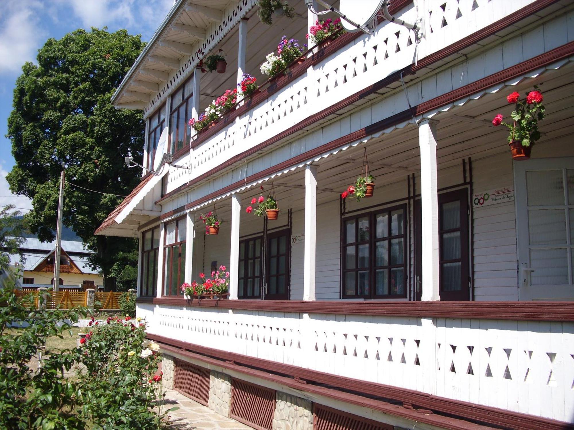 Villa Padurea De Argint Văratec Exterior foto