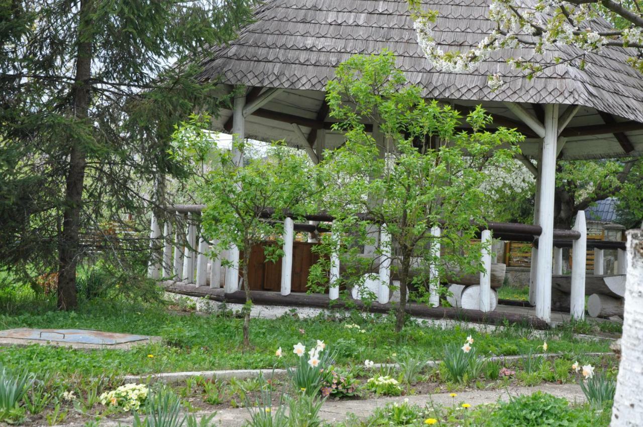 Villa Padurea De Argint Văratec Exterior foto
